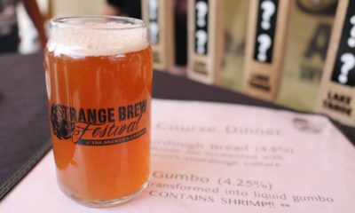 Photo of a glass of Gumbo beer at the Strange Brew Festival