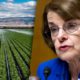 Composite of Valley farm field and U.S. Sen. Dianne Feinstein