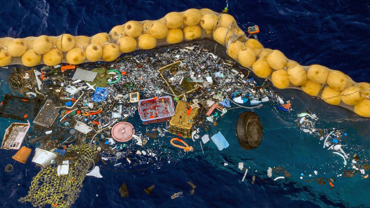 Photo of trash being retained in front of a cork line in the Pacific Ocean