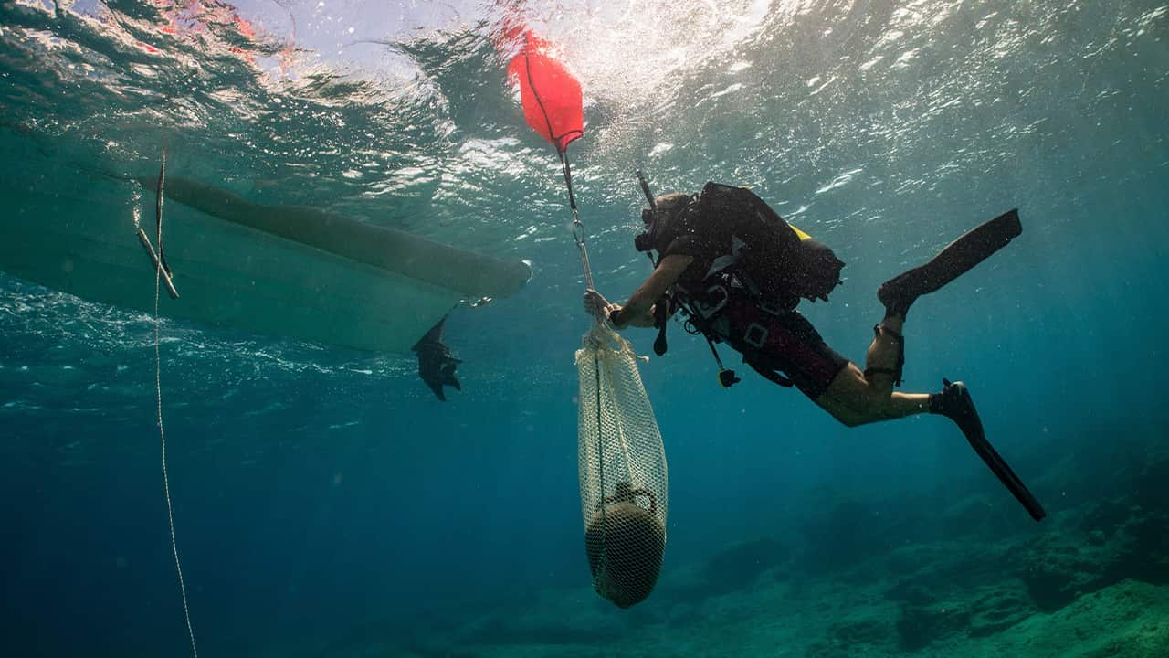 Photo of an archeologist in an underwater excavation