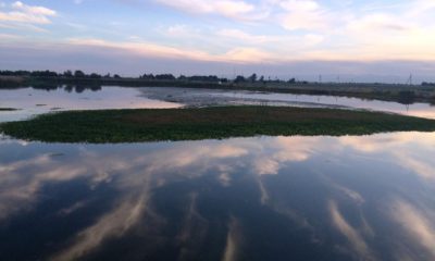 Photo of Mendota Pool, which holds 3,000 acre-feet of water in western Fresno County