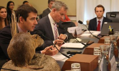 Photo of Rep. Josh Harder with a stuffed swamp rat at a congressional hearing