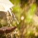 Photo of someone holding their hand out in the rain