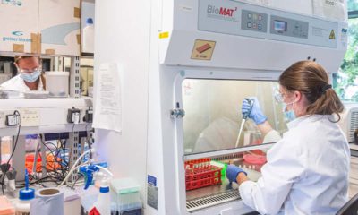 Image of sample from coronavirus vaccine trials being handled at the Oxford Vaccine Group laboratory in Oxford, England